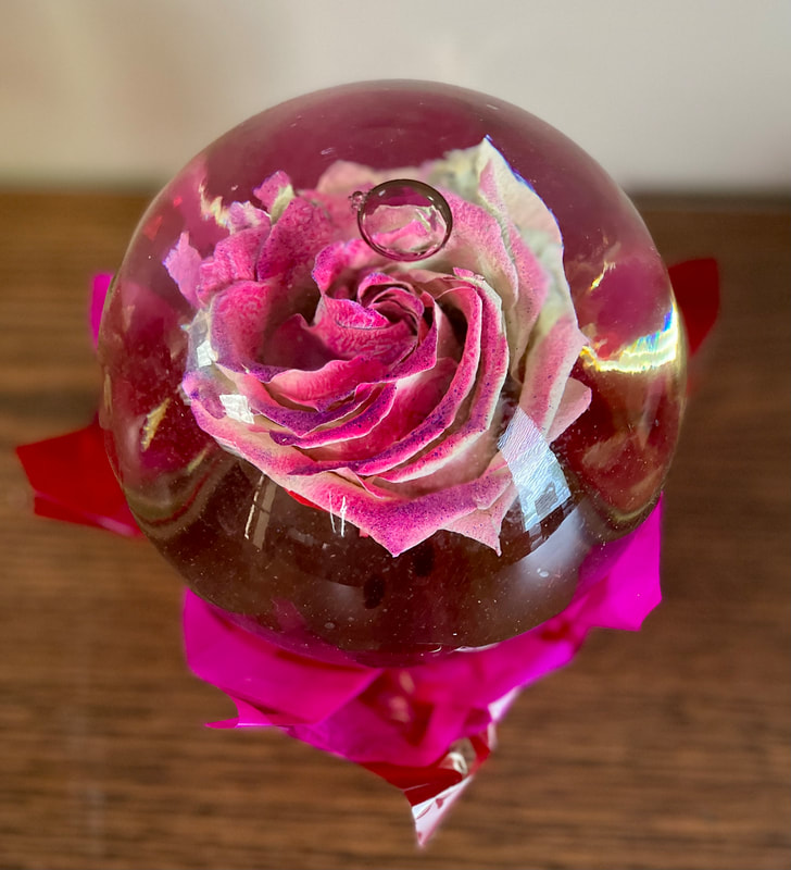 Rose Globe Centerpiece - Paraiso